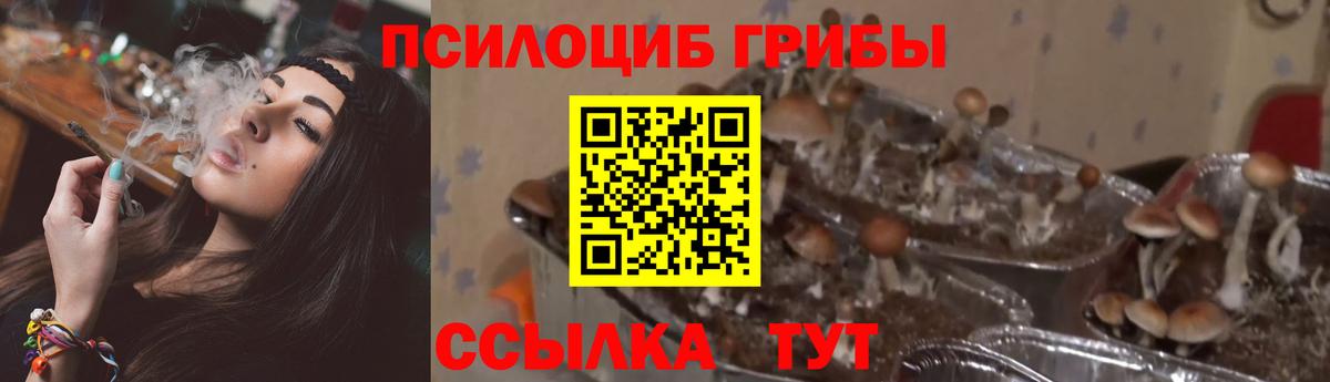 Галлюциногенные грибы ЛСД Севастополь