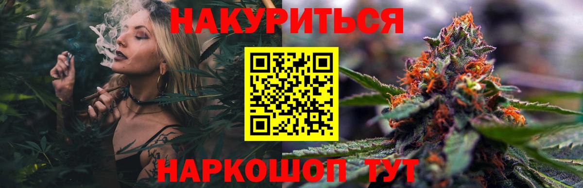 Каннабис OG Kush Севастополь